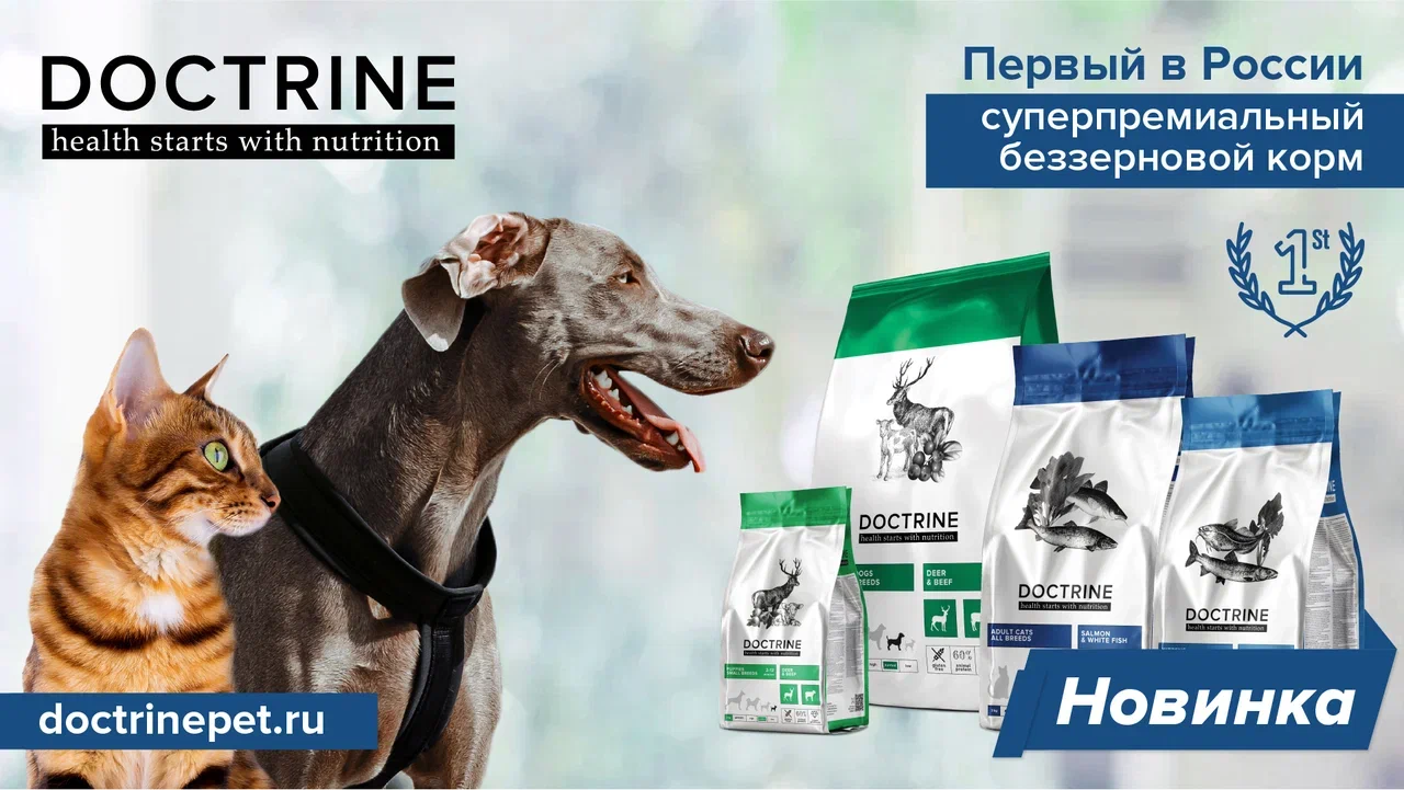 Беззерновые корма Doctrine для собак и кошек суперпремиум класса российского производства на joy4pet.ru 