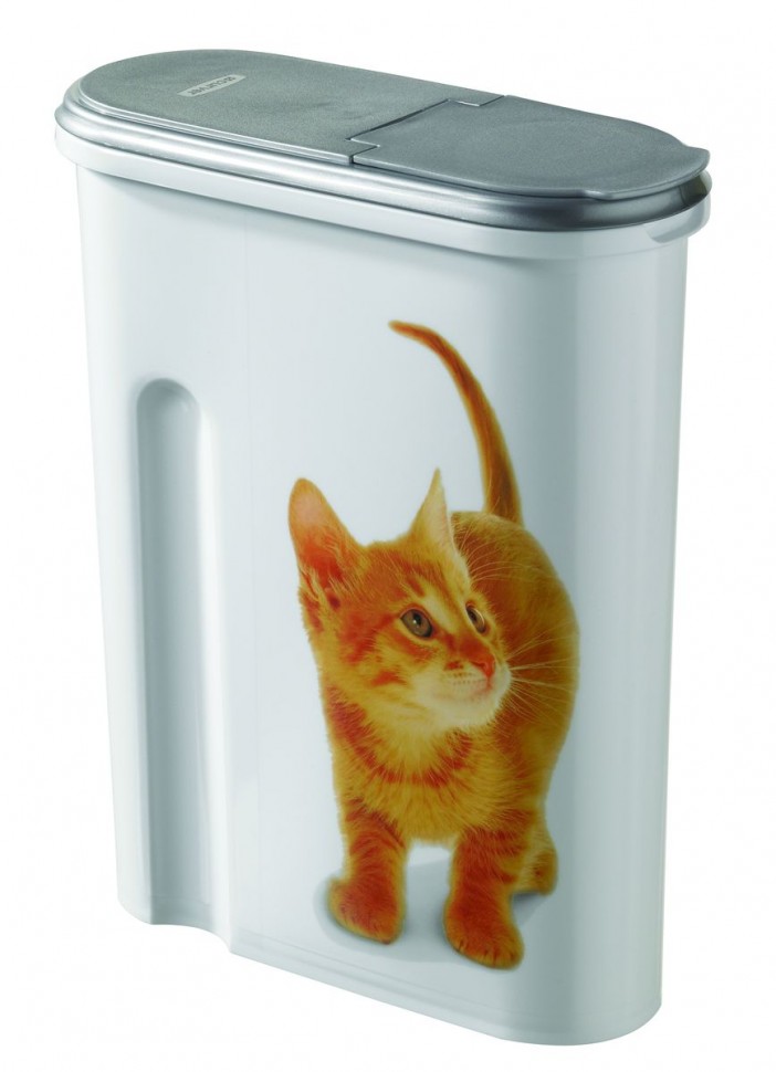 Curver litter box online