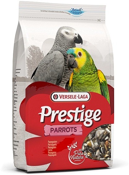 Buy parrot food outlet