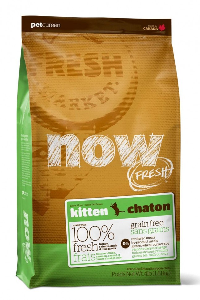 Now Fresh Kitten Joy4pet.ru 1 918