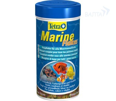 Marine pet shops near me top